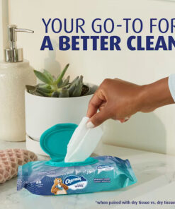 Alternative view of Flushable Wipes
